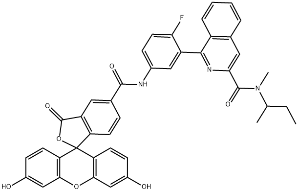 N-(ブタン-2-イル)-1-[5-({3',6'-ジヒドロキシ-3-オキソ-3H-スピロ[2-ベンゾフラン-1,9'-キサンテン]-5-イル}アミド)-2-フルオロフェニル]-N-メチルイソキノリン-3-カルボキサミド 化学構造式