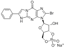 8-BR-PET-CGMP SODIUM SALT Struktur