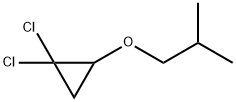 1-(2,2-dichlorocyclopropyl)oxy-2-methyl-propane|