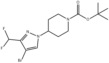 1449117-47-8 叔丁基 4-[4-溴-3-(二氟甲基)吡唑-1-基]哌啶-1-羧酸酯