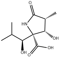 (3R,4S,5R)-4-HYDROXY-5-[(1S)-1-HYDROXY-2-METHYLPROPYL]-3-METHYL-2-PYRROLIDINONE-5-CARBOXYLIC ACID Structure