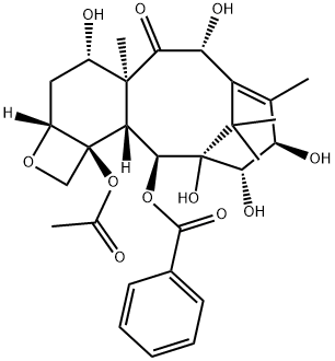 14β-Hydroxydeacetylbaccatin III Structure