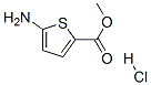 5-AMINOTHIOPHENE-2-CARBOXYLICMETHYLESTERHYDROCHLORIDE|5-氨基-噻吩-2-甲酸甲酯(HCL)