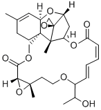 RORIDIND Structure