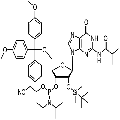 DMT-2′O-TBDMS-rG(ib) Phosphoramidite|5'-O-(4,4-二甲氧基三苯甲基)-2'-O-[(叔丁基)二甲基硅基]-N-异丁酰基鸟苷-3'-(2-氰基乙基-N,N-二异丙基)亚磷酰胺