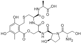 シクロチアリジンA 化学構造式