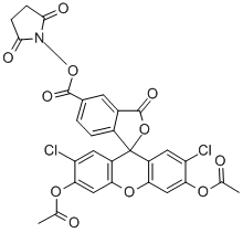二酢酸5(6)-カルボキシ-2',7'-ジクロロフルオレセインスクシンイミジルエステル 化学構造式