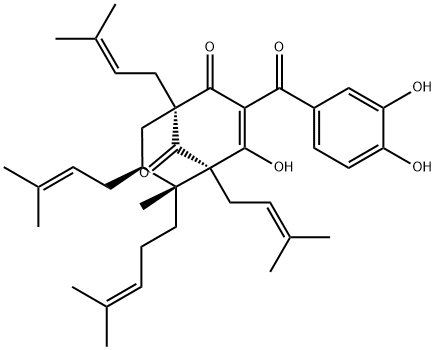 GUTTIFERONE A Structure