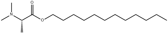 2-(ジメチルアミノ)プロパン酸ドデシル 化学構造式