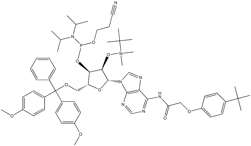 DMT-2'O-TBDMS-RA(TAC) AMIDITE 0.5G  AB Structure