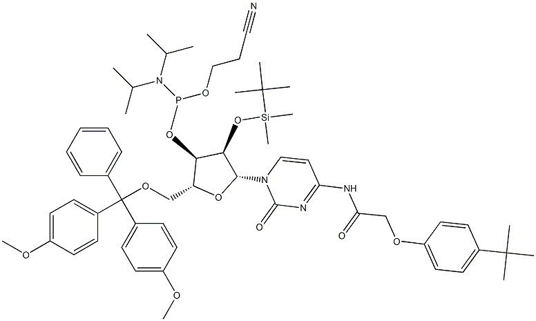 5'-O-(4,4-二甲氧基三苯甲基)-2'-O-[(叔丁基)二甲基硅基]-N-[[4-(叔丁基)苯氧基]乙酰基]胞苷-3'-(2-氰基乙基-N,N-二异丙基)亚磷酰胺 结构式