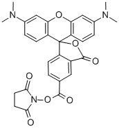 5(6)-Carboxytetramethylrhodamine succinimidyl ester  Struktur