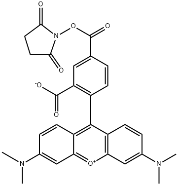 5-羧基四甲基罗丹明琥珀酰亚胺酯 结构式