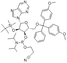 151132-95-5 9-[5-O-[二(4-甲氧基苯基)苯基甲基]-3-O-[[二异丙基氨基](2-氰基乙氧基)膦基]-2-O-[(叔丁基)二甲基硅烷基]-BETA-D-呋喃核糖基]-9H-嘌呤