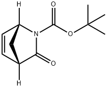 (6R,7S)-2-BOC-2-AZA-BICYCLO[2.2.1]HEPT-5-EN-3-ONE Struktur