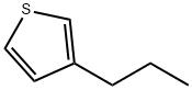 3-丙基噻吩,1518-75-8,结构式