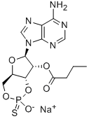 2'-O-MONOBUTYRYLADENOSINE-3',5'-환형모노포스포로티오에이트,RP-이성체나트륨염