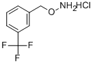 1-[(AMMONIOOXY)METHYL]-3-(TRIFLUOROMETHYL)BENZENE CHLORIDE Struktur