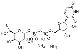 URIDINE5'-DIPHOSPHO-GALACTOSE-[GALACTOSE-6-3H]암모늄염