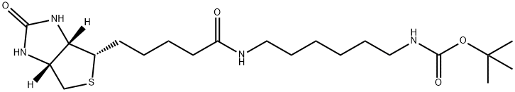 N-[6-[[5-[(3aS,4S,6aR)-Hexahydro-2-oxo-1H-thieno[3,4-d]imidazol-4-yl]-1 -oxopentyl]amino]hexyl]-carbamic Acid 1,1-Dimethylethyl Ester 化学構造式