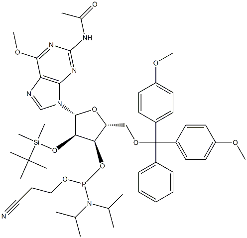 N-乙酰基-5