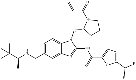 (E)-N-(1-(((R)-1-アクリロイルピロリジン-2-イル)メチル)-5-((((S)-3,3-ジメチルブタン-2-イル)アミノ)メチル)-1H-ベンゾ[D]イミダゾール-2(3H)-イリデン)-5-(ジフルオロメチル)チオフェン-2 化学構造式