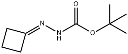 2-亚环丁基肼甲酸叔丁酯,158001-20-8,结构式