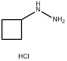 1-CYCLOBUTYLHYDRAZINE HYDROCHLORIDE Structure