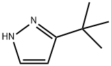 3-tert-ブチル-1H-ピラゾール 化学構造式
