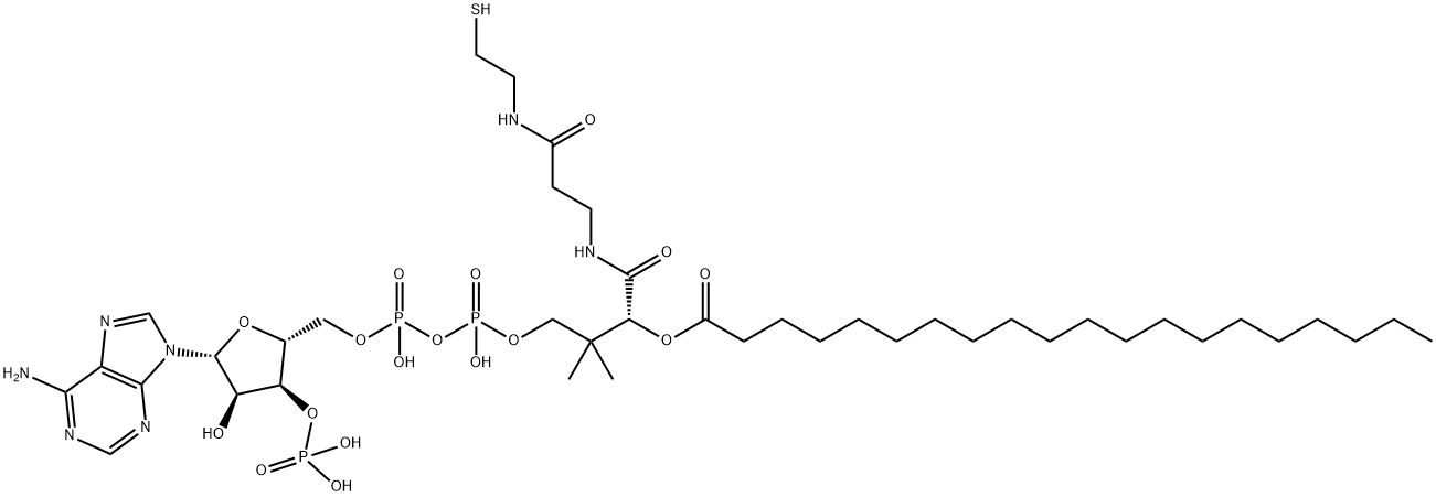 アデノシン3'-りん酸5'-[二りん酸β-[4-[[2-[[2-[[(5Z,8Z,11Z,14Z)-1-オキソ-5,8,11,14-イコサテトラエニル]チオ]エチル]カルバモイル]エチル]アミノ]-4-オキソ-3-ヒドロキシ-2,2-ジメチルブチル]] 化学構造式