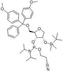 RSPACER CEP Structure