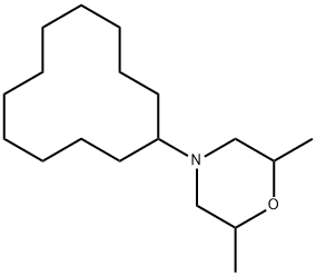 4-シクロドデシル-2,6-ジメチルモルホリン 化学構造式