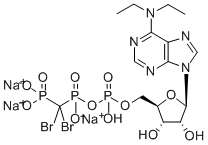 6-N,N-二乙基-Β-Γ-二溴亚甲基-D-腺苷E-5