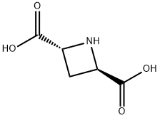 (2R,4R)-(+)-AZETIDINE-2,4-DICARBOXYLIC ACID Structure