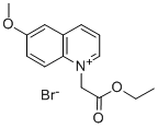 N-(エトキシカルボニルメチル)-6-メトキシキノリニウムブロミド [MQAE] 化学構造式