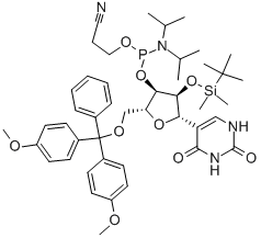 PSEUDOURIDINE CEP Structure