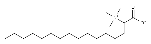 (1-carboxylatopentadecyl)trimethylammonium Struktur