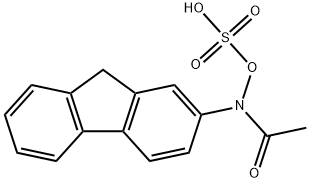 2-acetylaminofluorene-N-sulfate 结构式