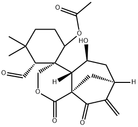 ISODONAL Structure