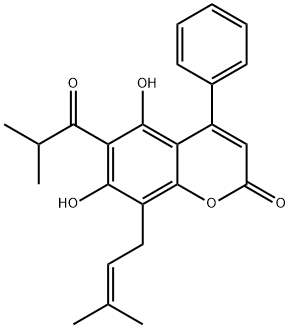 铁力木苦素