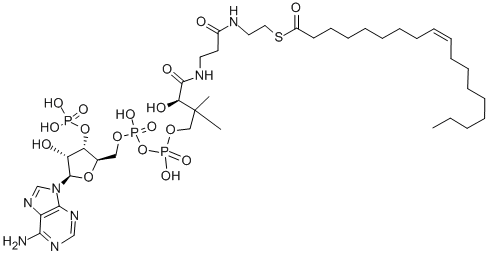 アデノシン3'-りん酸5'-[二りん酸P2-[(R)-3-ヒドロキシ-4-[[3-[[2-[(Z)-9-オクタデセノイルチオ]エチル]アミノ]-3-オキソプロピル]アミノ]-2,2-ジメチル-4-オキソブチル]] 化学構造式