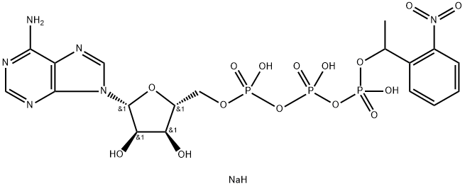 腺苷5`-三磷酸Γ-[1-(2-硝基苯基)乙基]酯钠盐, 171800-68-3, 结构式