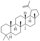 5α-ルパ-20(29)-エン 化学構造式