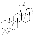 LUP-20(29)-ENE Structure