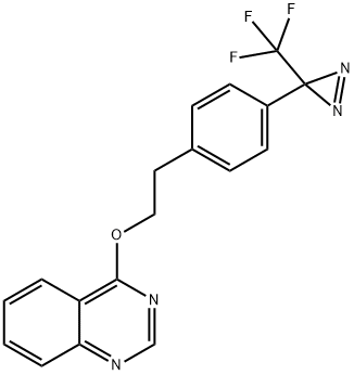 4-(4-(3-(trifluoromethyl)-3H-diazirin-3-yl)phenethoxy)quinazoline|4-[2-[4-[3-(三氟甲基)-3H-双吖丙啶-3-基]苯基]乙氧基]喹唑啉