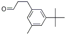 Benzenepropanal, 3-(1,1-diMethylethyl)-5-Methyl- Structure