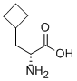 D-环丁基丙氨酸 结构式