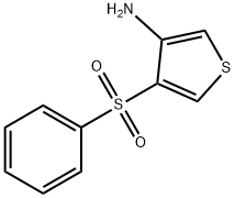 4-(フェニルスルホニル)チオフェン-3-アミン 化学構造式