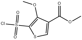 METHYL 5-CHLOROSULFONYL-4-METHOXYTHIOPHENE-3-CARBOXYLATE Structure