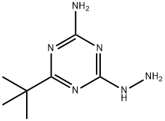 2-AMINO-4-TERT-BUTYL-6-HYDRAZINO-S-TRIAZINE Structure